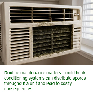 moldy air conditioner