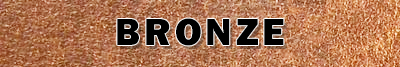 Bronze Sponsors